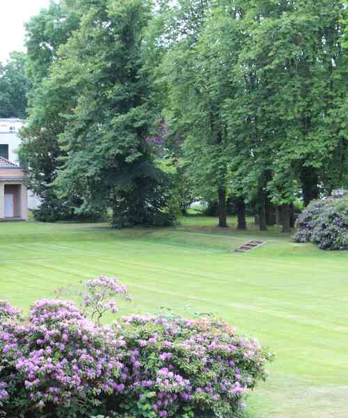 Campus Kopfbild