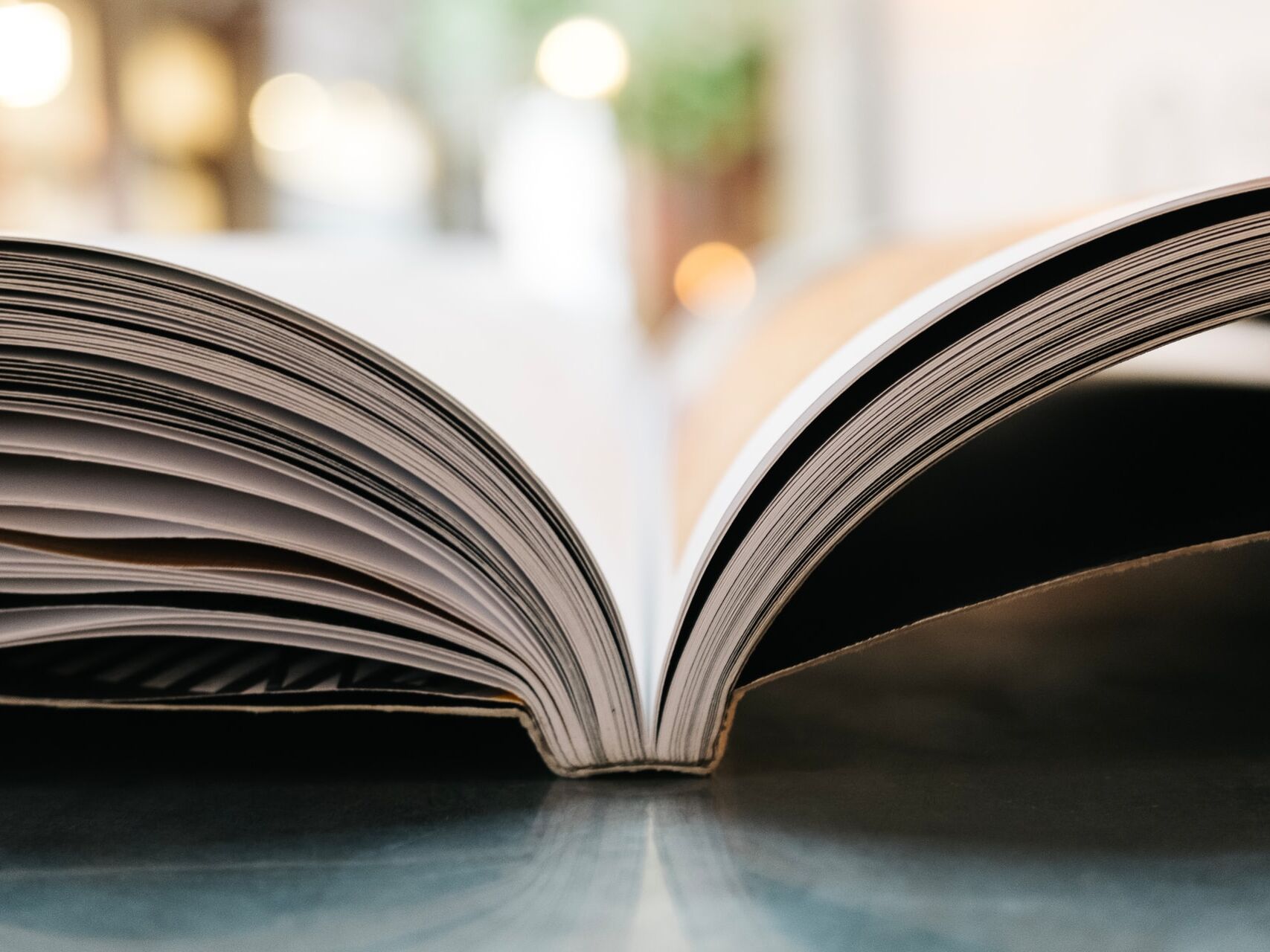 Institute for Digital Transformation & Innovation - Publikationen