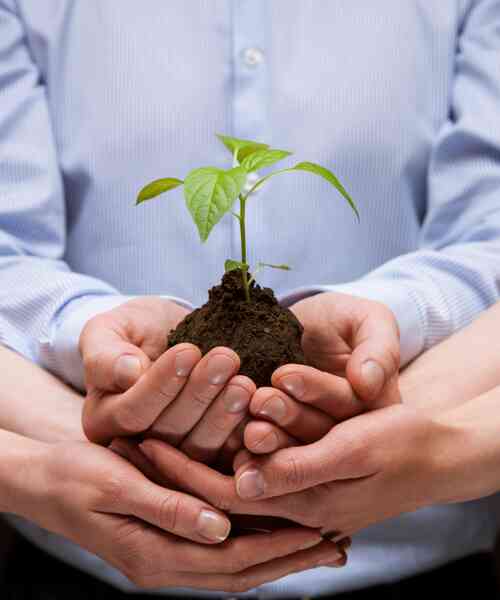 Master Sustainability and Management (M.Sc.) Kopfbild