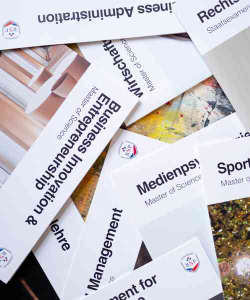 BSP Flyer zum Download Kopfbild