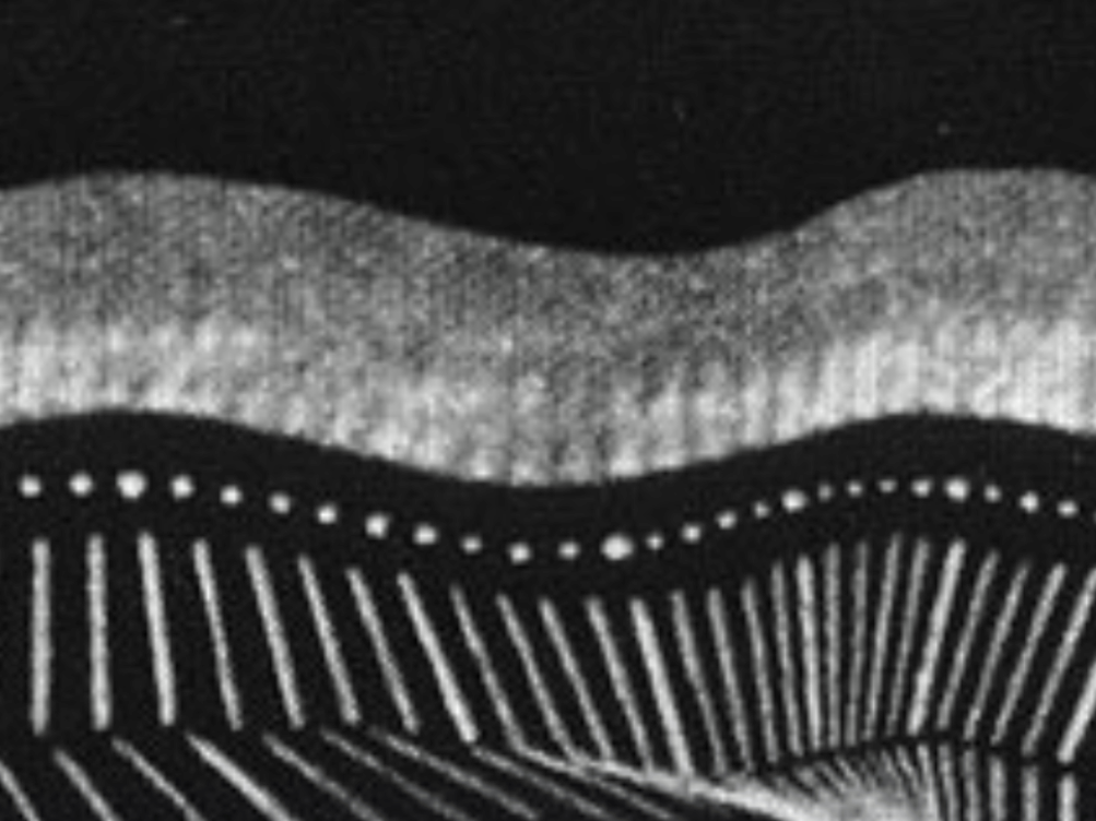 Wirtschaftspsychologie Studium - Besonderheiten