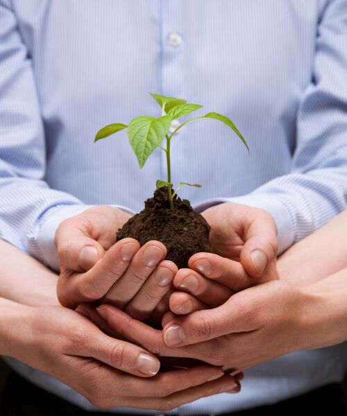 Master Sustainability and Management (M.Sc.) Kopfbild