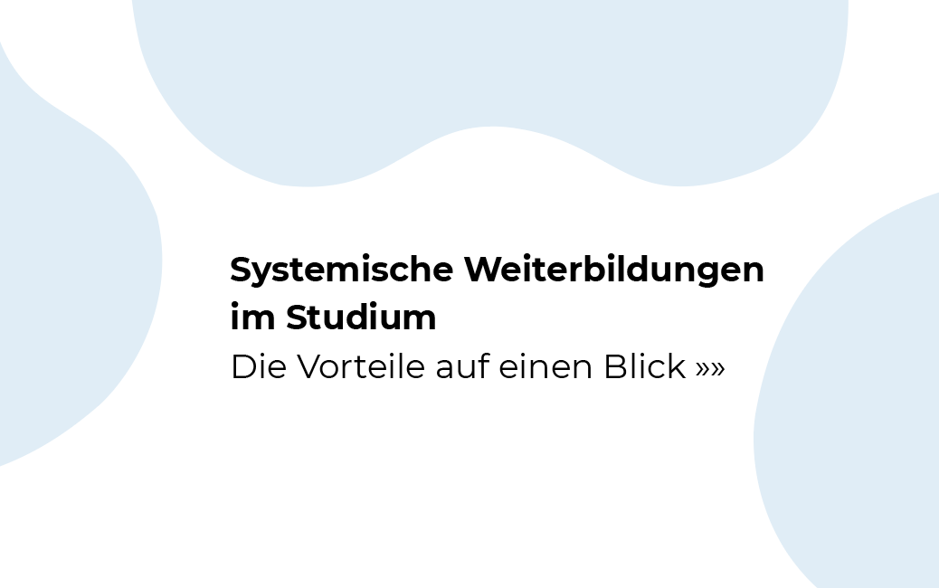 Flyer Systemisches Coaching an der BSP