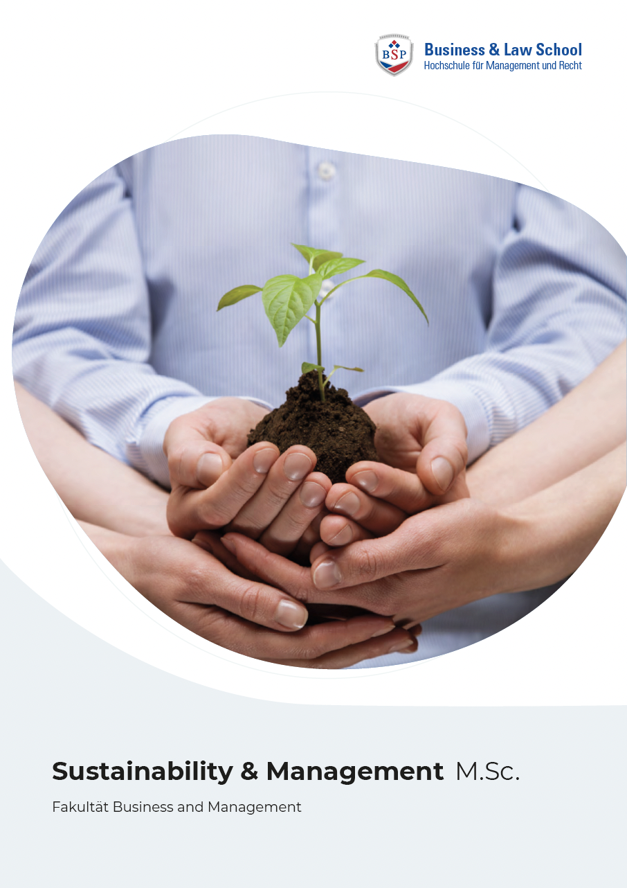 Sustainability and Management Studium Flyer
