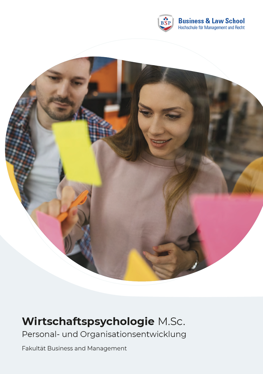 Wirtschaftspsychologie Masterstudium Flyer