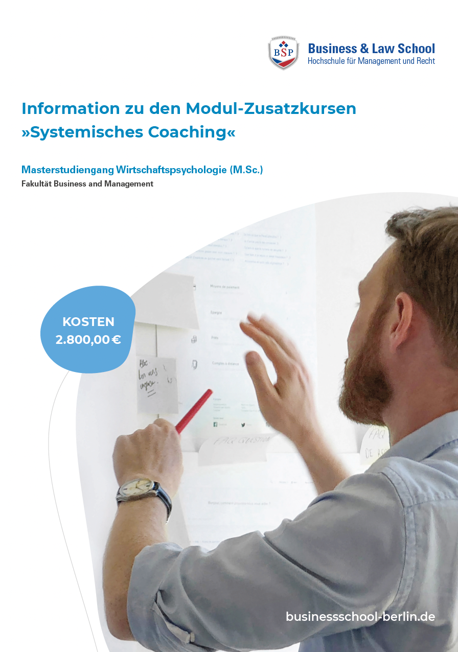 Flyer Information zu den Modul-Zusatzkursen  "Systemisches Coaching" Master Wirtschaftspsychologie