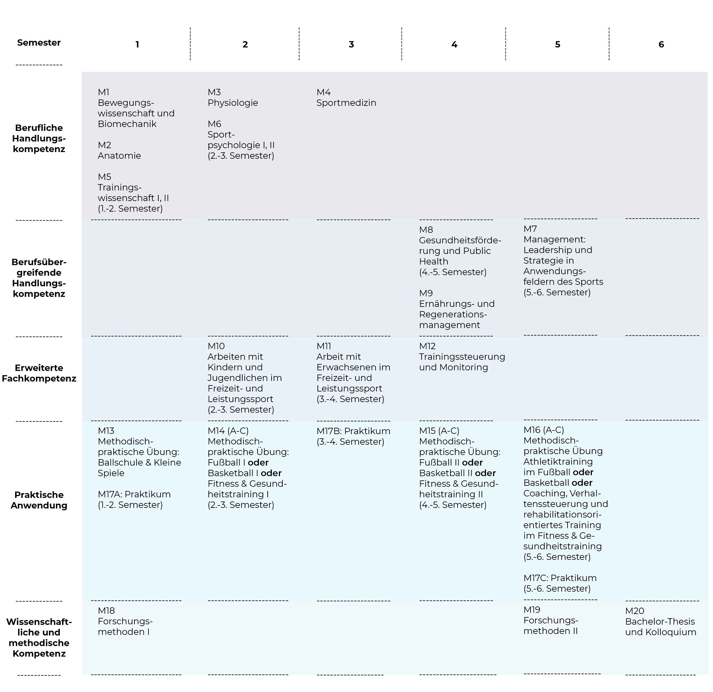 Sportwissenschaft Studium Berlin (B.A.) Modulplan