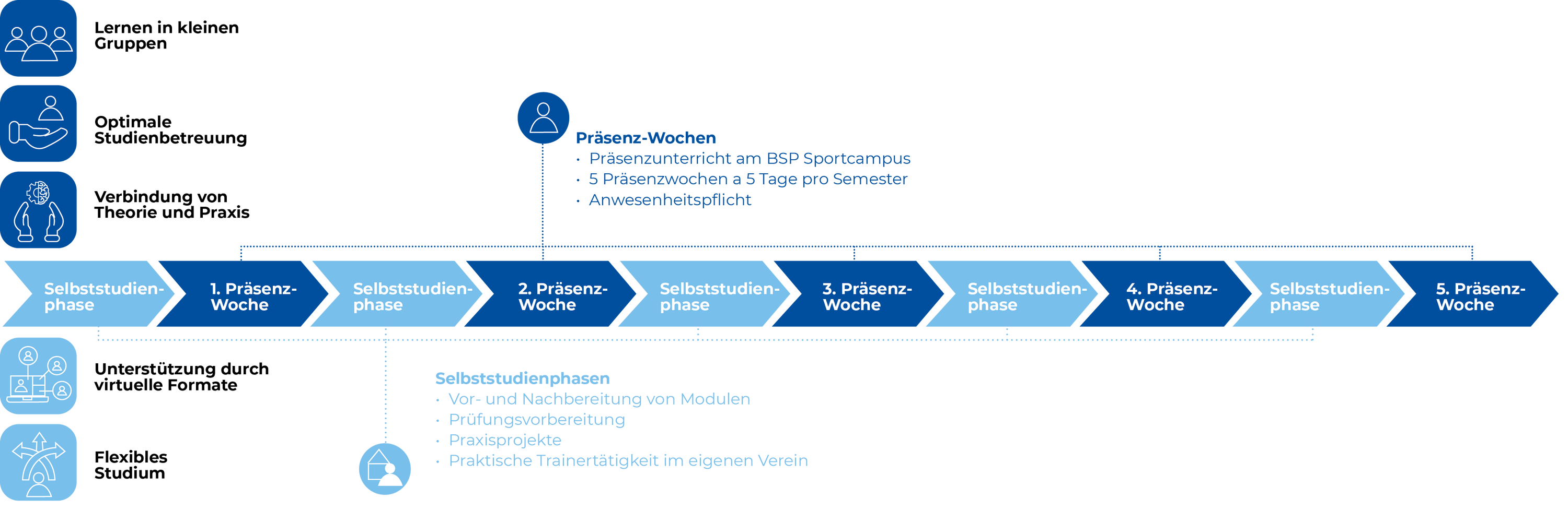 Sportwissenschaft Studium Berlin (B.A.) Semesterverlauf